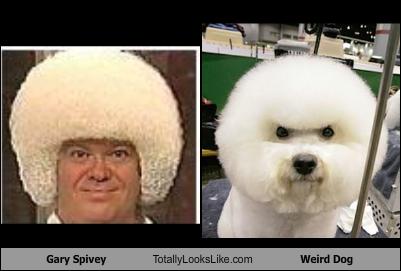 gary spivey without wig