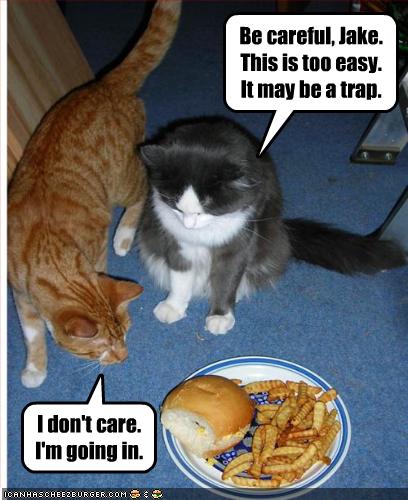 Be careful, Jake. This is too easy. It may be a trap. - Cheezburger - Funny  Memes