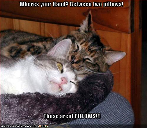 Wheres Your Hand Between Two Pillows Those Arent Pillows
