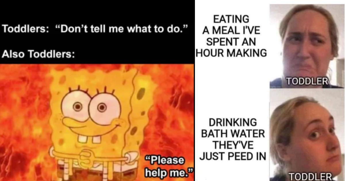 25 Funny Toddler Memes for Tenacious Parents Braving Their Way Through