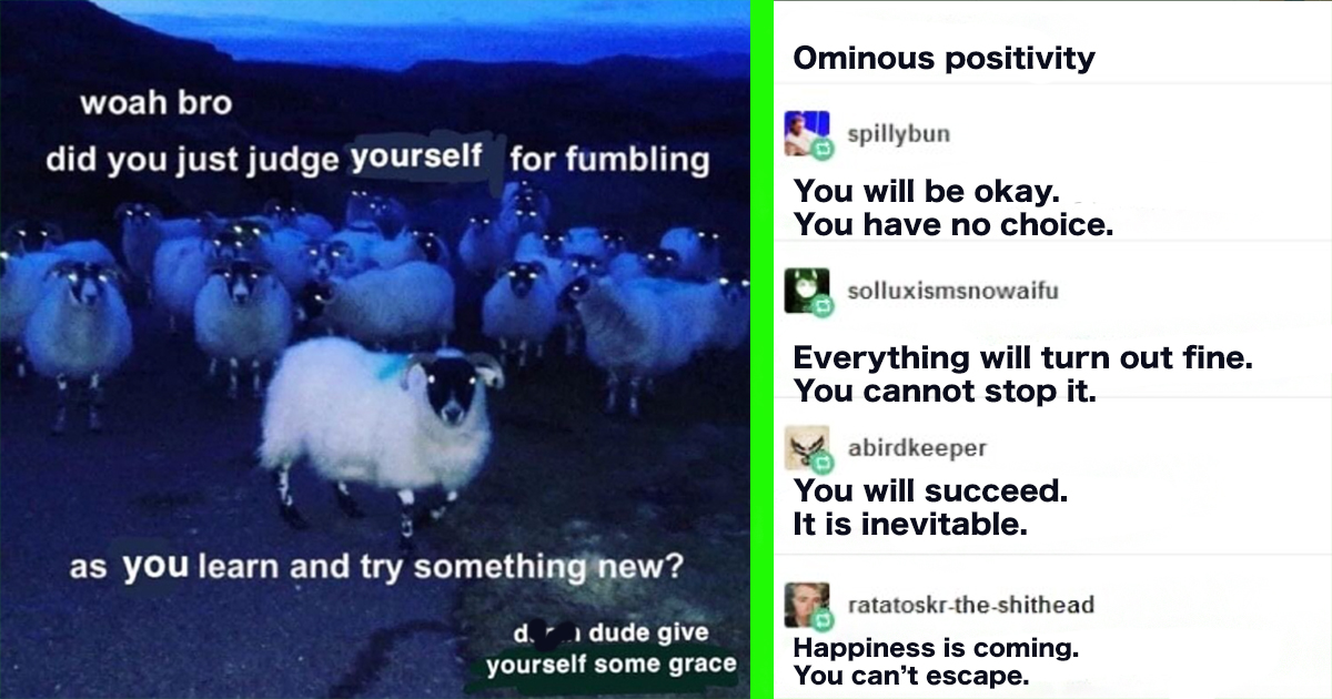 25 fresh inspirational memes to replace your hang in there cat