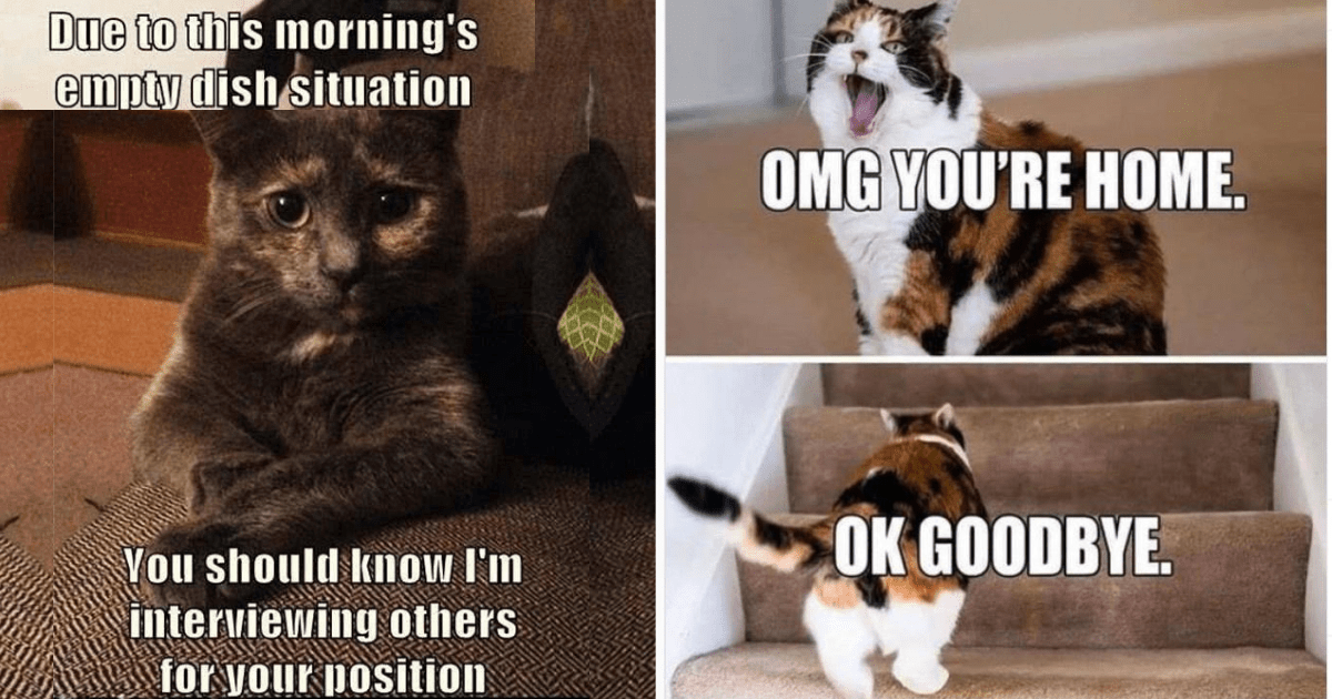 Loving Aunt Comics: The Hilarious Family Secrets You Need To See! - uwdu1sf