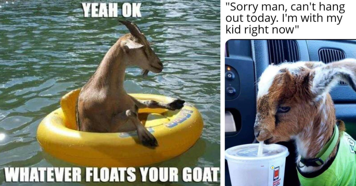 ok-whatever-floats-your-goat-and-cup-sor