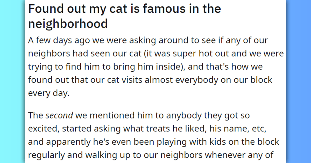 Person Finds Out Their Cat Is Famous In Their Neighborhood, The ...