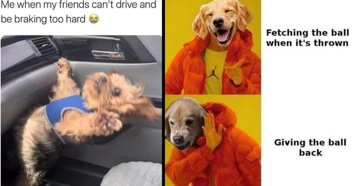 Doggie Dump of Dopamine To Ride Until The Last Woof Of The Weekend