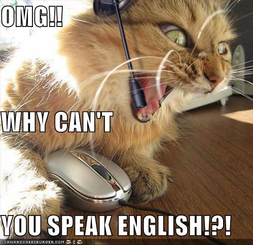 Omg Why Can T You Speak English Cheezburger Funny Memes Funny Pictures