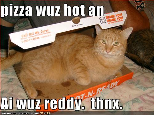 Pizza Wuz Hot An Ai Wuz Reddy Thnx Cheezburger Funny Memes