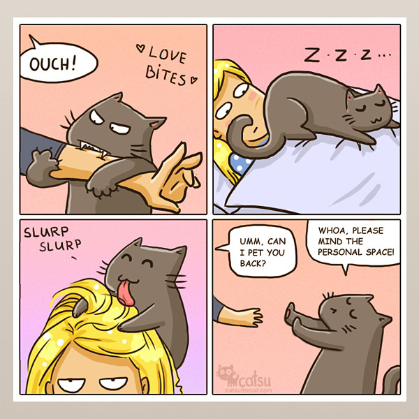 12 Comics That Are Too Realistic When It Comes To Living With A Cat I Can Has Cheezburger