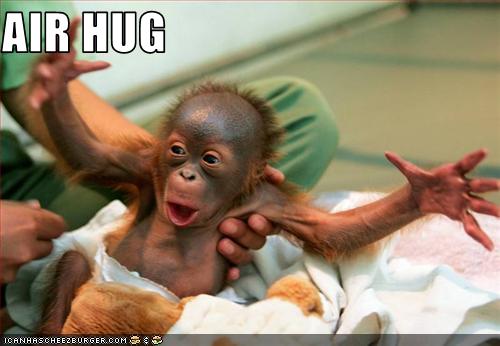  AIR  HUG  Cheezburger Funny Memes  Funny Pictures