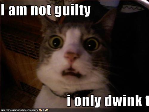 I Am Not Guilty I Only Dwink Tincture Cheezburger Funny Memes Funny Pictures