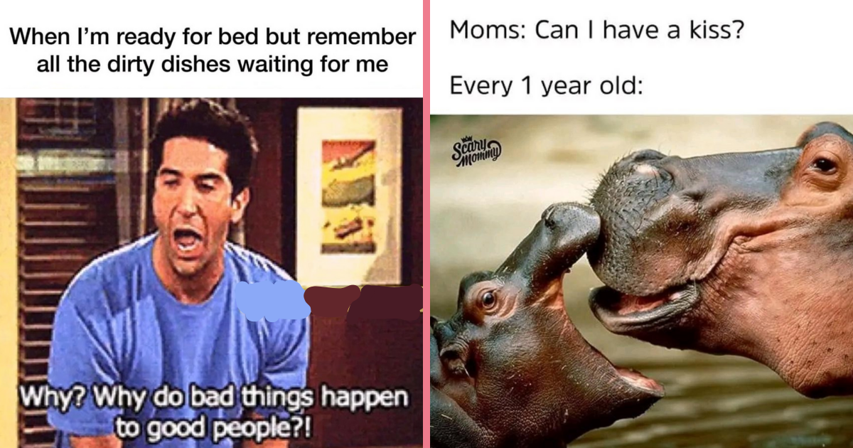 38 Memes for Strong Single Moms Tackling Parenting on Their Own (September 11, 2023) CheezCake
