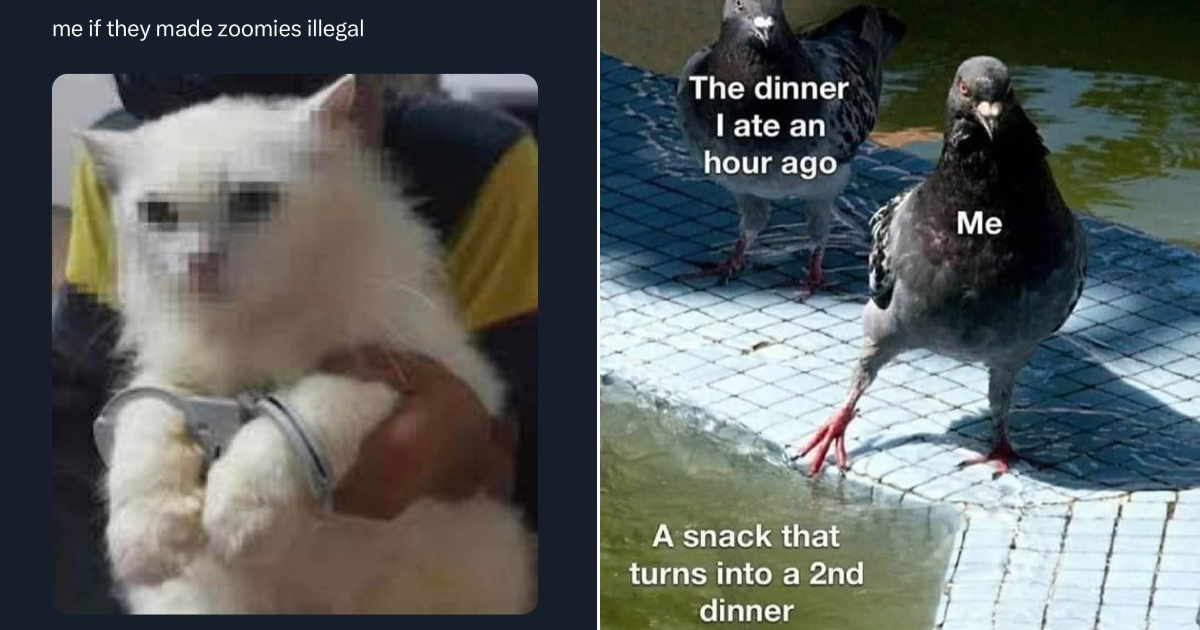 34 Memes to Pull Up a Chair For Memebase Funny Memes