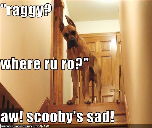 Raggy Where Ru Ro Aw Scooby S Sad Cheezburger Funny Memes Funny Pictures