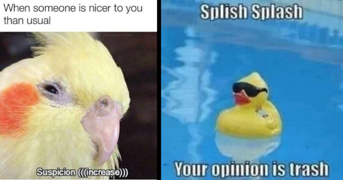 32 Highly Suspicious Bird Memes That Are Definitely Not Government ...