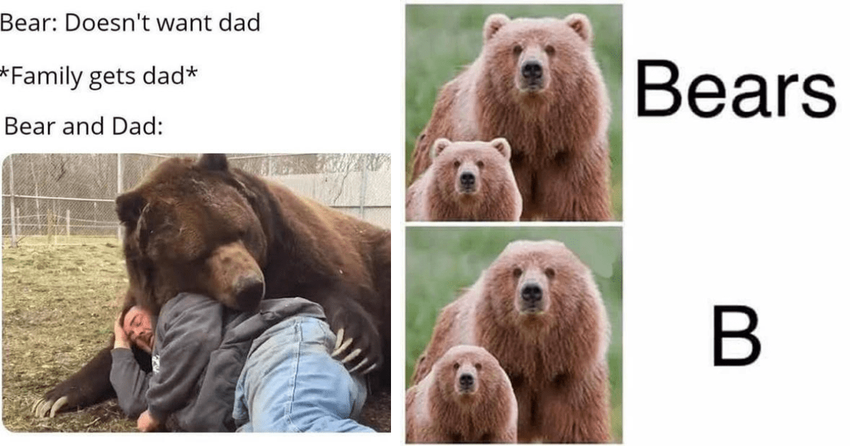  Daddy Bear 3 Cubs Father Day Funny Daddy Bear 3 Kids