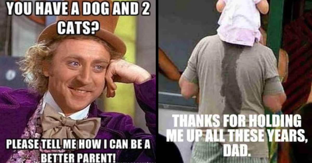 43 Hilarious Single Dad Memes That Prove Single Dads Have Mastered The Art Of Parenthood Parenting