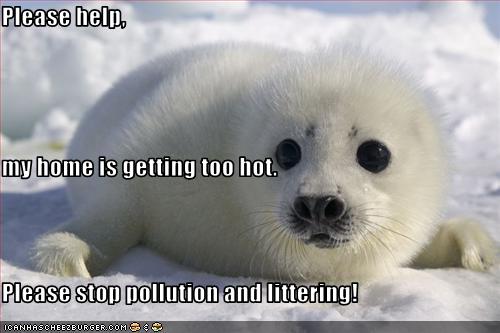 Free Dating Sites >> Please help, my home is getting too hot. Please stop pollution and littering! - Cheezburger ... Free Dating Sites >> Please help, my home is getting too hot. Please stop pollution and littering! - Cheezburger ...