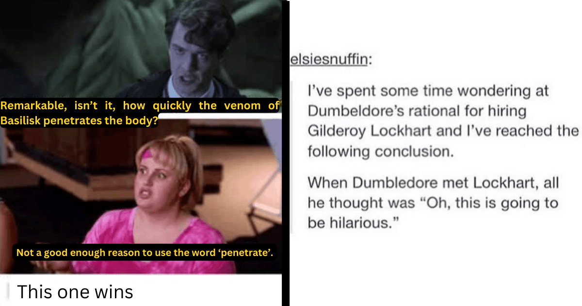 30 Harry Potter Memes That Are Better Than the Second (And Worst) Dumbledore