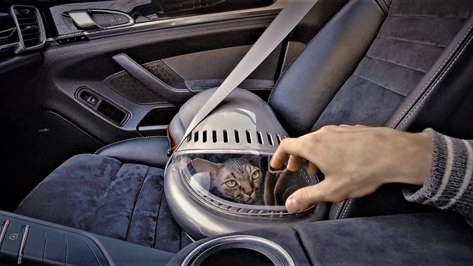 spaceship pet carrier