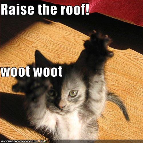 Raise the roof! woot woot - Cheezburger - Funny Memes 