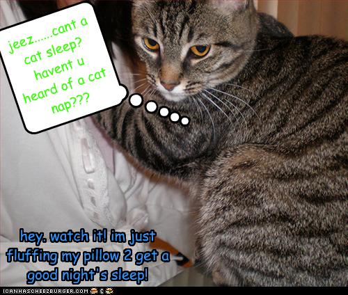 Hey Watch It Im Just Fluffing My Pillow 2 Get A Good Night S