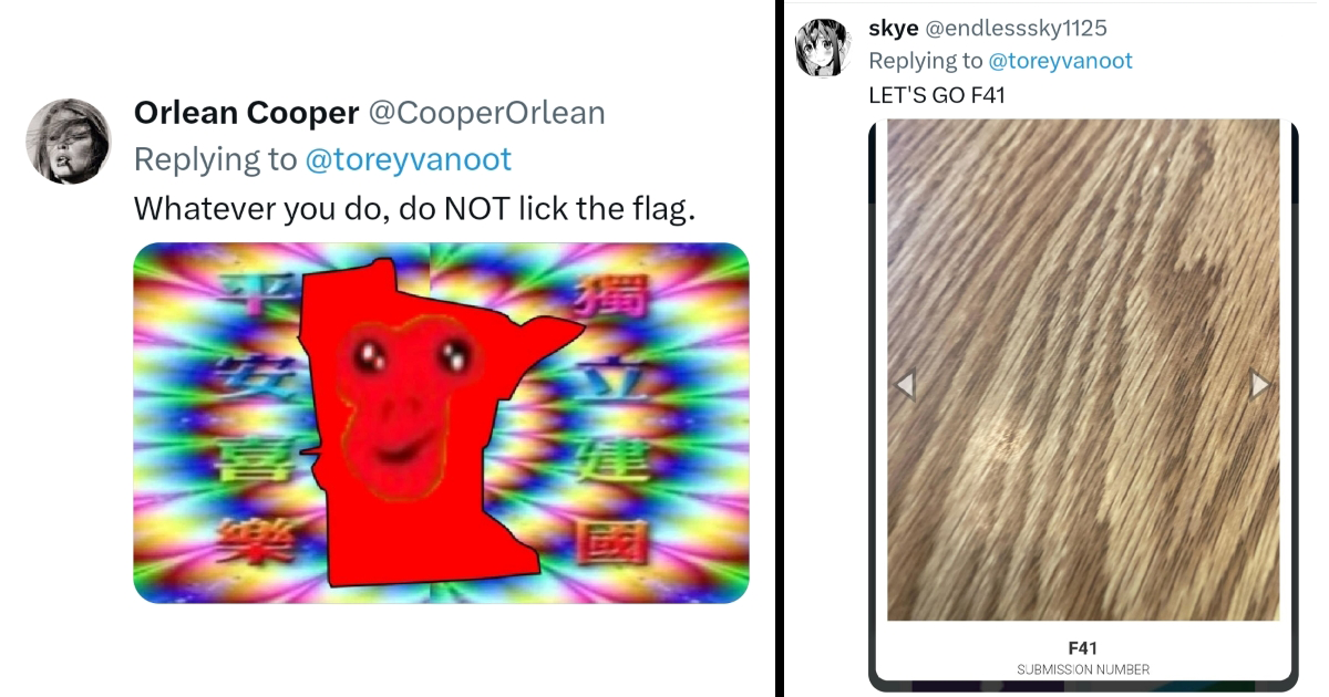 Minnesotans Tickle the Internet With Wacky Entries to State Flag