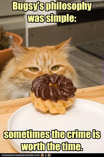 cat funny donut memes philosophy animal dog cats quotes juicy quotesgram cheezburger eyes gemerkt ro von