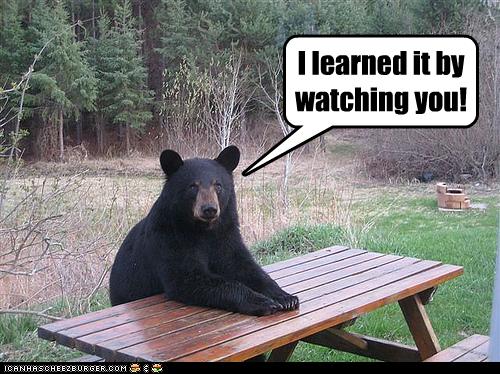 Urlaubsziele für singles kiffer