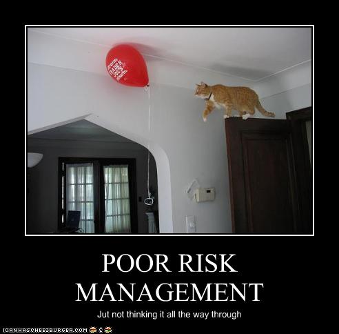 POOR RISK MANAGEMENT - Cheezburger - Funny Memes  Funny 