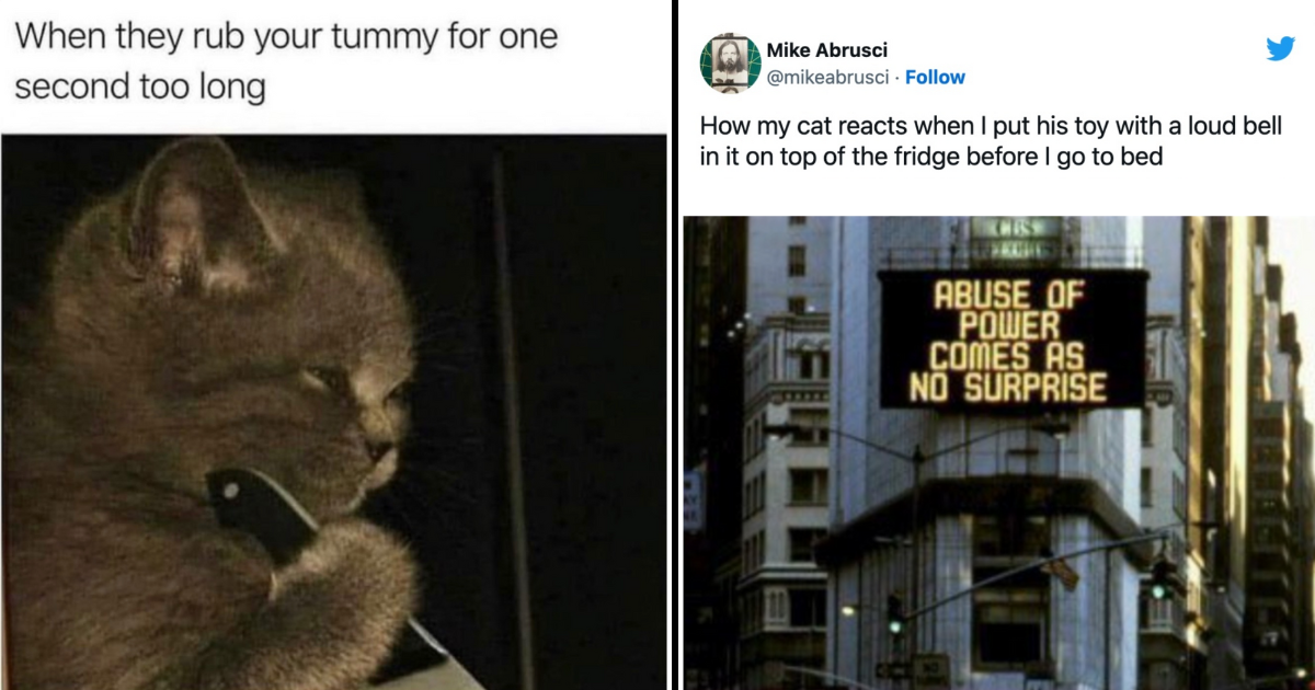 35 Hissterical Cat Memes For All The Grumpy Cats Who Need A Fast ...