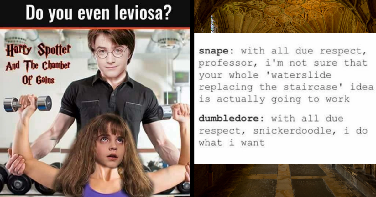 34 Harry Potter Memes for Hogwarts Students Flying Into Hogsmeade on a  Broomstick This Weekend - Geek Universe - Geek, Fanart, Cosplay, Pokémon  GO, Geek Memes