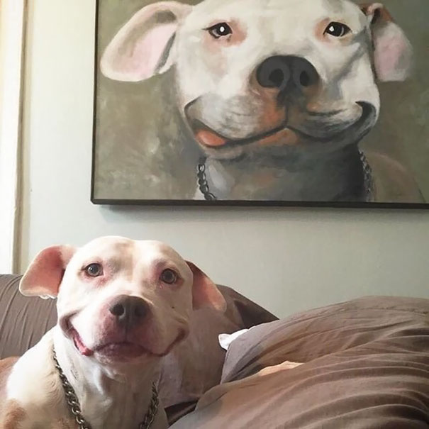 27 Times Life Imitated Art I Can Has Cheezburger?