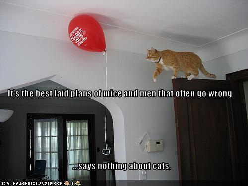 best teenage dating sites