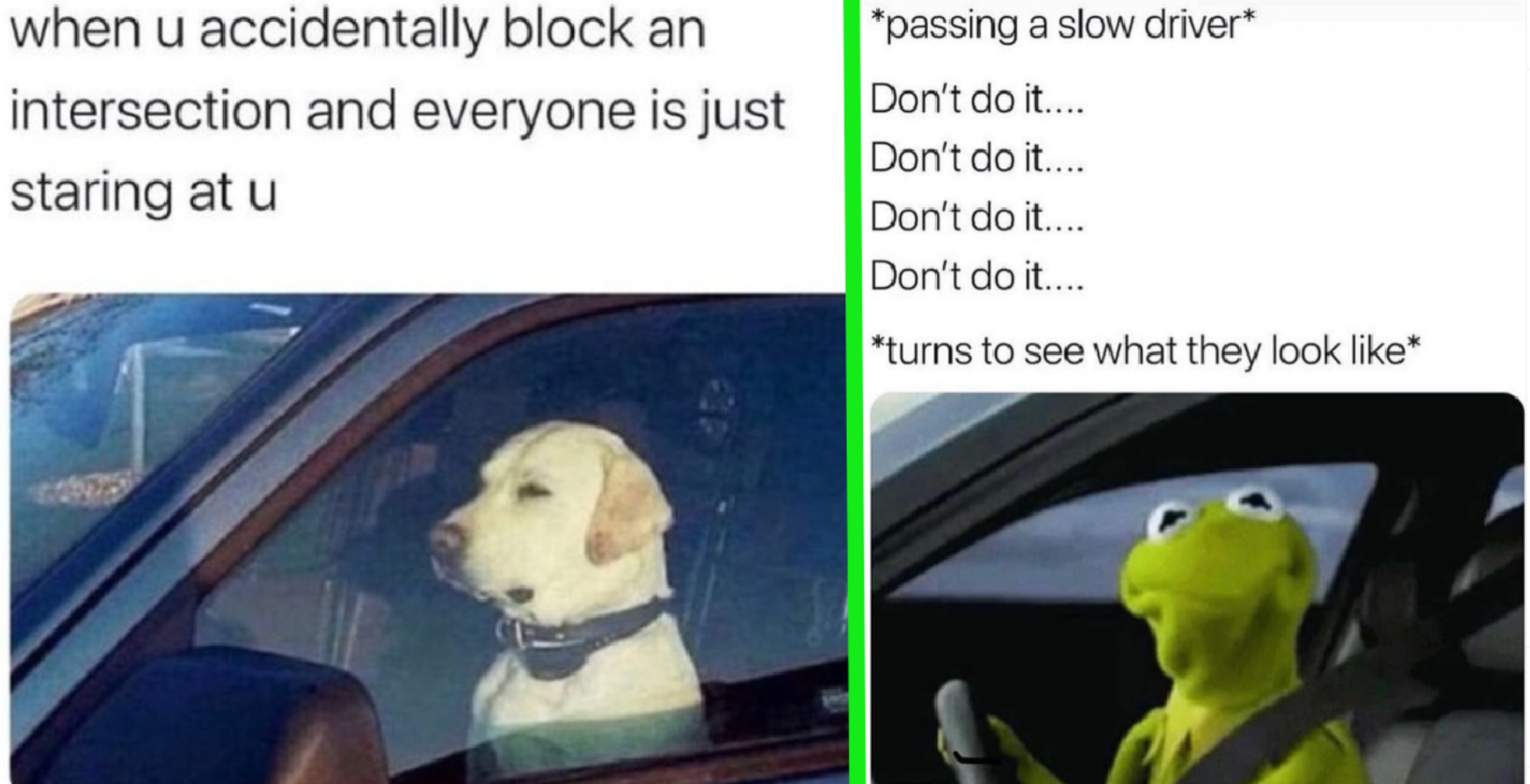 28 Steeriously Relatable Driving Memes for the Friend That's Always the ...