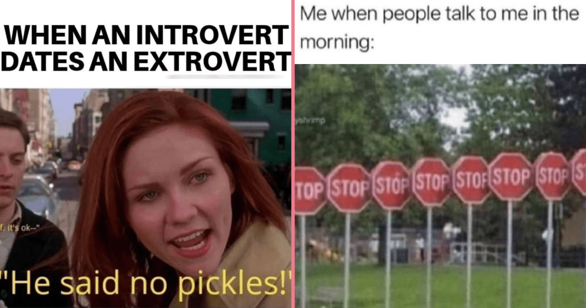 30 Introverted Relationship Memes for Heartfelt Hermits Embracing the ...
