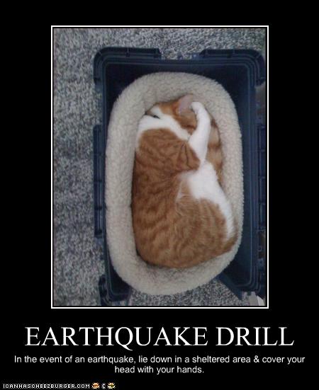 EARTHQUAKE DRILL - Cheezburger - Funny Memes | Funny Pictures