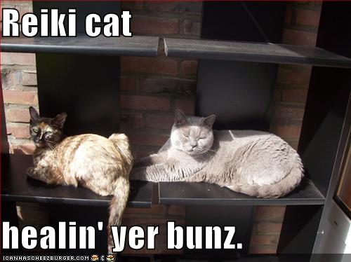 Free Dating Sites >> Reiki cat healin' yer bunz. - Cheezburger - Funny Memes | Funny Pictures Free Dating Sites >> Reiki cat healin' yer bunz. - Cheezburger - Funny Memes | Funny Pictures