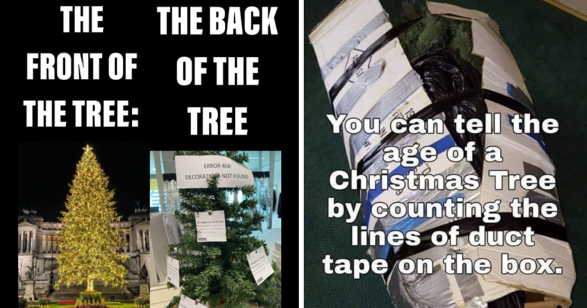 20 Festive Christmas Tree Memes to Deck the Halls With Memebase