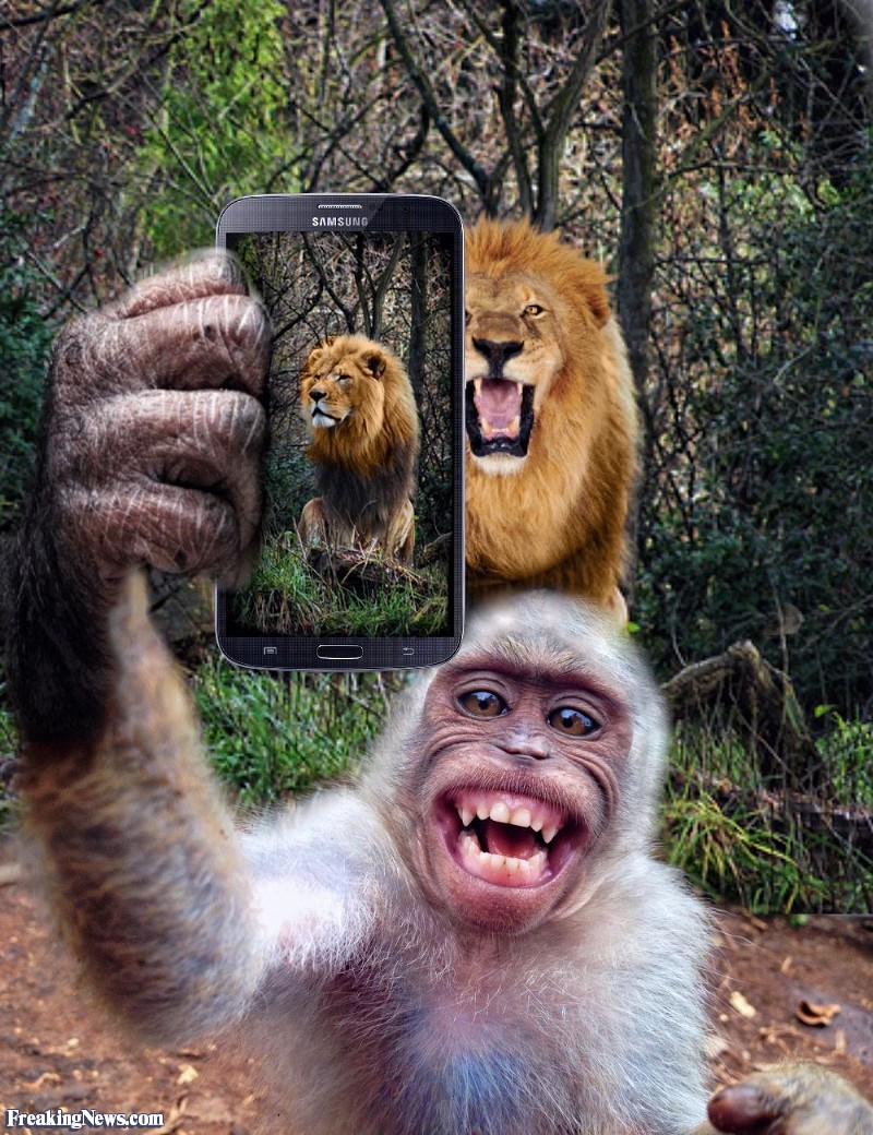 What If Animals Had Cellphones? 17 Hilarious Photos - I ...