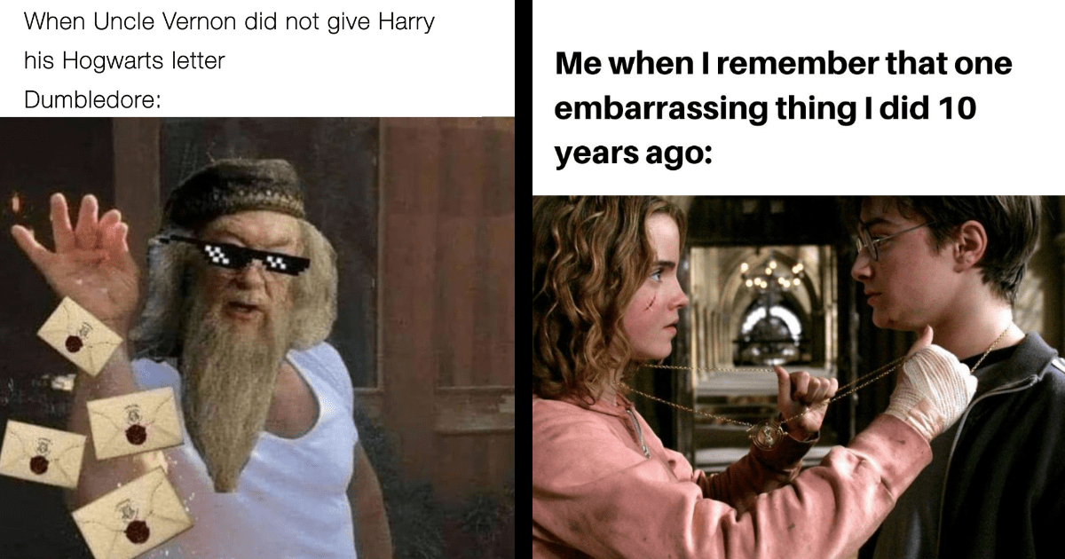 34 Harry Potter Memes for Hogwarts Students Spending the Holidays ...