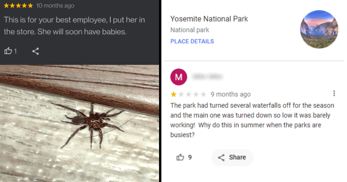 20+ Entertaining Google Reviews That Are as Funny as They Are Informative Memebase Funny Memes