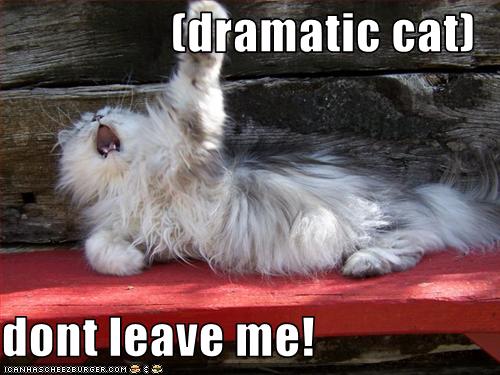 dating sites that dont charge