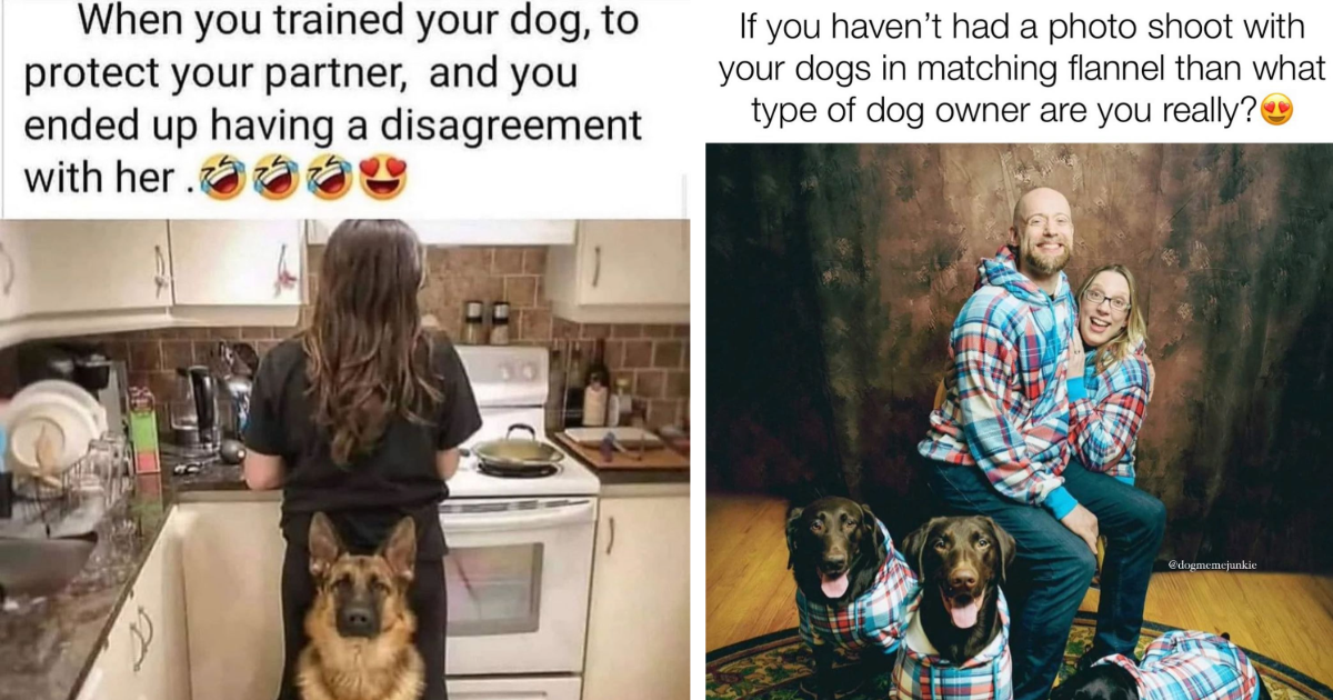 Wholesome Memes Of Dogs And Their Families To Fill You With Holiday Joy