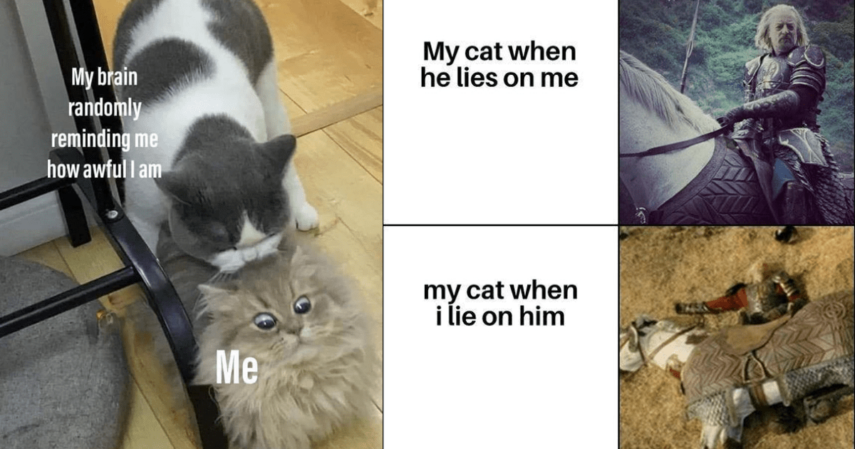 Weekly Treat of Cat Memes for Feline Fanatics (January 3, 2024
