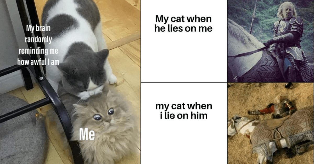 Needy Cat Memes