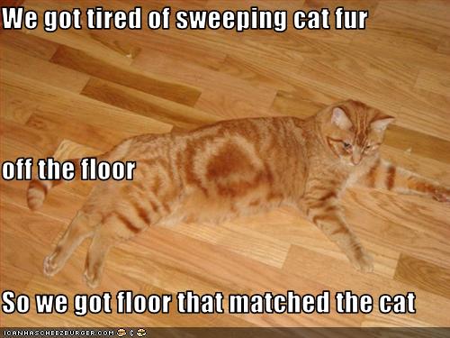 We Got Tired Of Sweeping Cat Fur Off The Floor So We Got Floor