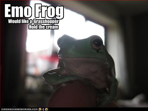 Emo Frog Cheezburger Funny Memes Funny Pictures