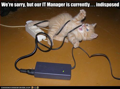 We're sorry, but our IT Manager is currently . . . indisposed