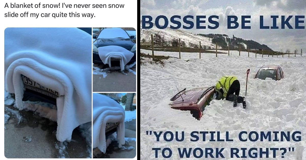 20+ Snow Memes For Everyone Longing For a Snow Day - Memebase - Funny Memes