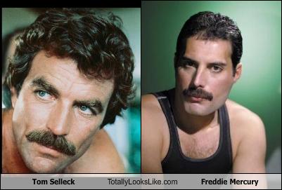 cheezburger-image-2405852928